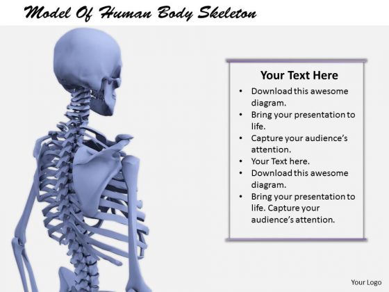 Stock Photo Developing Business Strategy Model Of Human Body Skeleton Best Stock Photos