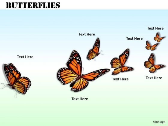 Stock Photo Flying Butterflies Nature Theme PowerPoint Slide Stock Photo Flying Butterflies Nature Theme PowerPoint Slide