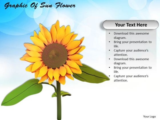 Stock Photo Graphic Of Sun Flower PowerPoint Template Stock Photo Graphic Of Sun Flower PowerPoint Template