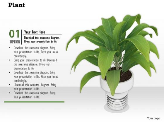 Stock Photo Graphics Of Green Plant In Vase PowerPoint Slide Stock Photo Graphics Of Green Plant In Vase PowerPoint Slide