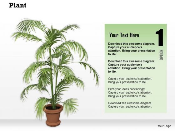 Stock Photo Graphics Of Vase With Green Plant PowerPoint Slide Stock Photo Graphics Of Vase With Green Plant PowerPoint Slide