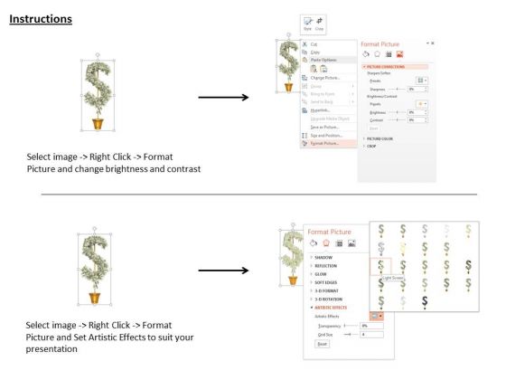 Stock Photo Illustration Of Dollar Plant PowerPoint Slide pre designed adaptable