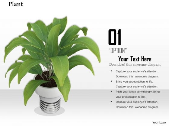 Stock Photo Illustration Of Green Plant In White Vase PowerPoint Slide Stock Photo Illustration Of Green Plant In White Vase PowerPoint Slide