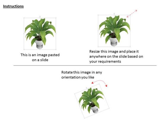 Stock Photo Illustration Of Indoor Plant PowerPoint Slide slides interactive