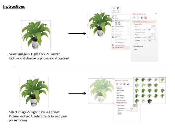 Stock Photo Illustration Of Indoor Plant PowerPoint Slide idea interactive