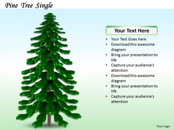 Stock Photo Illustration Of Pine Tree PowerPoint Slide Stock Photo Illustration Of Pine Tree PowerPoint Slide