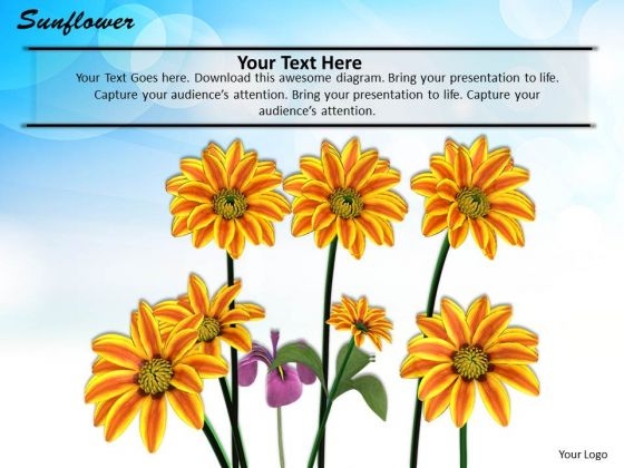 Stock Photo Illustration Of Sunflowers For Nature Pwerpoint Slide Stock Photo Illustration Of Sunflowers For Nature Pwerpoint Slide