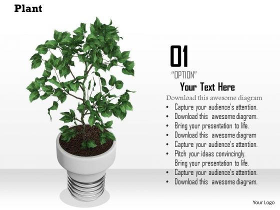 Stock Photo Image Of Indoor Plant PowerPoint Slide