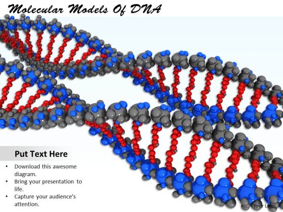 Stock Photo Molecular Models Of Dna PowerPoint Template