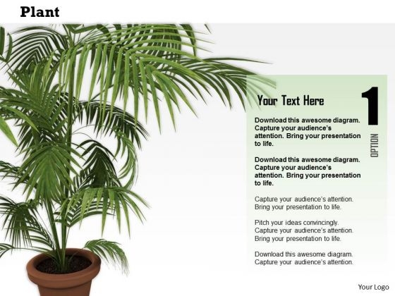Stock Photo Plant Trees Save Earth Conceptual Image PowerPoint Slide Stock Photo Plant Trees Save Earth Conceptual Image PowerPoint Slide