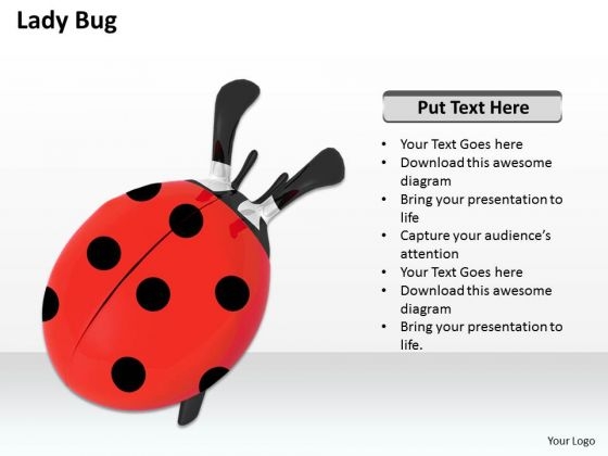 Stock Photo Red Lady Bug On White Background PowerPoint Slide