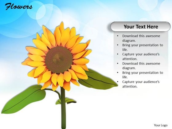 Stock Photo Sunflower Over Blue Sky In Background Pwerpoint Slide Stock Photo Sunflower Over Blue Sky In Background Pwerpoint Slide