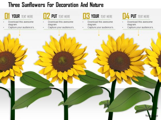 Stock Photo Three Sunflowers For Decoration And Nature PowerPoint Slide Stock Photo Three Sunflowers For Decoration And Nature PowerPoint Slide