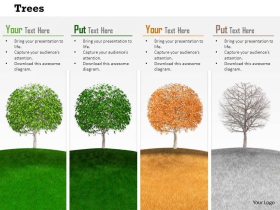 Stock Photo Trees Depicting Four Seasons Pwerpoint Slide Stock Photo Trees Depicting Four Seasons Pwerpoint Slide