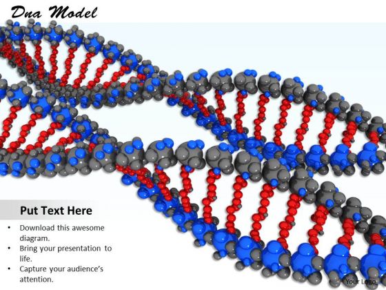 Stock Photo Two Colorful Dna Designs For Biology PowerPoint Slide Stock Photo Two Colorful Dna Designs For Biology PowerPoint Slide