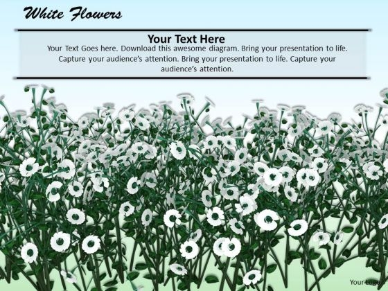 Stock Photo White Flowers Nature Background PowerPoint Slide Stock Photo White Flowers Nature Background PowerPoint Slide
