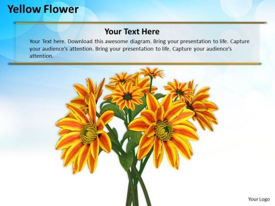 Stock Photo Yellow Flowers With Blue Sky In Background PowerPoint Slide Stock Photo Yellow Flowers With Blue Sky In Background PowerPoint Slide