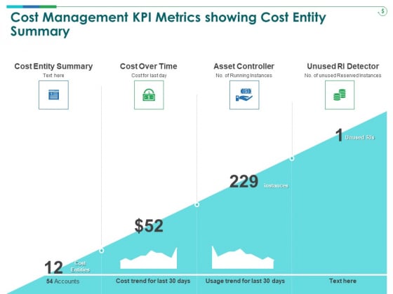 TCM Cost Management KPI Metrics Showing Cost Entity Summary Ppt Inspiration Clipart PDF
