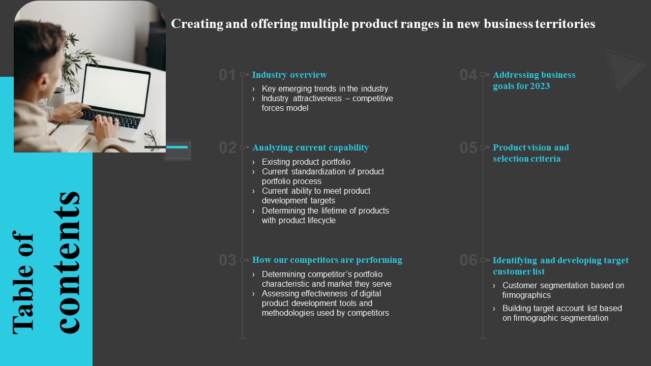Table Of Contents Creating And Offering Multiple Product Ranges In New Business Territories Information PDF