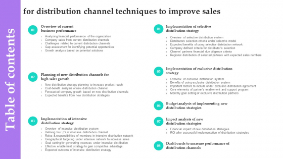 Table Of Contents For Distribution Channel Techniques To Improve Sales Download PDF