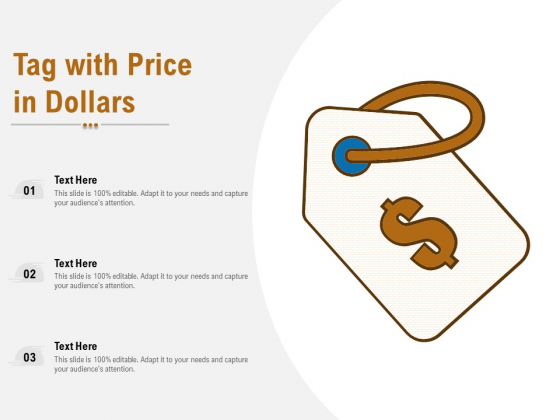 Tag With Price In Dollars Ppt PowerPoint Presentation Outline Templates PDF Tag With Price In Dollars Ppt PowerPoint Presentation Outline Templates PDF