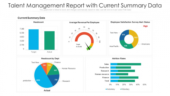 Talent Management Report With Current Summary Data Ppt Gallery Example Topics PDF Talent Management Report With Current Summary Data Ppt Gallery Example Topics PDF