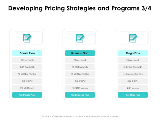 Target Market Strategy Developing Pricing Strategies And Programs Plan Ppt Ideas PDF Target Market Strategy Developing Pricing Strategies And Programs Plan Ppt Ideas PDF