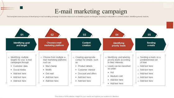 Target Marketing Techniques Email Marketing Campaign Sample PDF