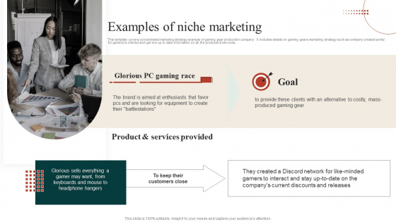 Target Marketing Techniques Examples Of Niche Marketing Information PDF