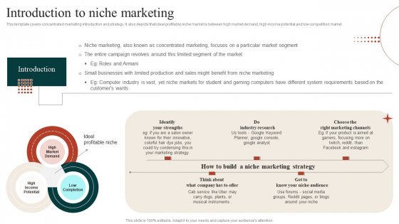 Target Marketing Techniques Introduction To Niche Marketing Topics PDF