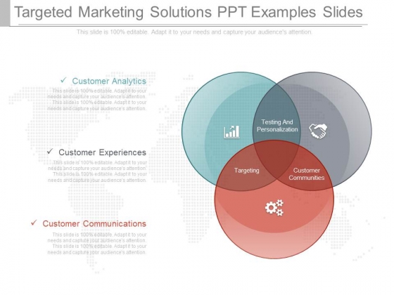 Targeted Marketing Solutions Ppt Examples Slides