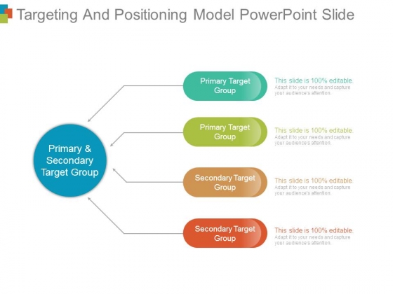 Targeting And Positioning Model Powerpoint Slide
