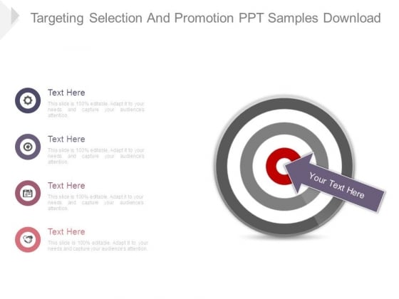 Targeting Selection And Promotion Ppt Samples Download Targeting Selection And Promotion Ppt Samples Download