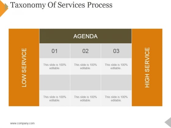 Taxonomy Of Services Process Ppt PowerPoint Presentation Icon Template Taxonomy Of Services Process Ppt PowerPoint Presentation Icon Template