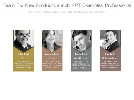 Team For New Product Launch Ppt Examples Professional