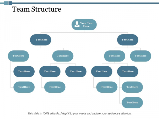 Team Structure Ppt PowerPoint Presentation Portfolio Topics Team Structure Ppt PowerPoint Presentation Portfolio Topics