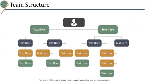 Team Structure Ppt PowerPoint Presentation Styles Template Team Structure Ppt PowerPoint Presentation Styles Template