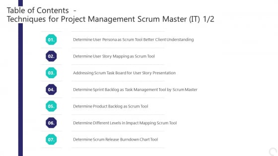 Techniques_For_Project_Management_Scrum_Master_IT_Ppt_PowerPoint_Presentation_Complete_Deck_With_Slides_Slide_3