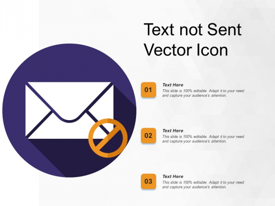 Text Not Sent Vector Icon Ppt PowerPoint Presentation Portfolio Gallery PDF