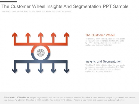 The Customer Wheel Insights And Segmentation Ppt Sample The Customer Wheel Insights And Segmentation Ppt Sample