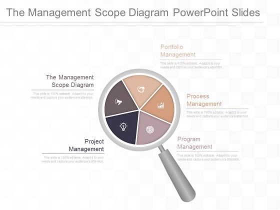 The Management Scope Diagram Powerpoint Slides