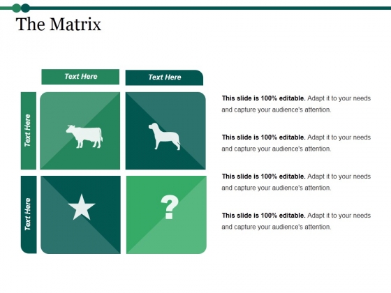 The Matrix Ppt PowerPoint Presentation Ideas Icon