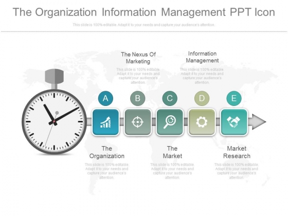 The Organization Information Management Ppt Icon