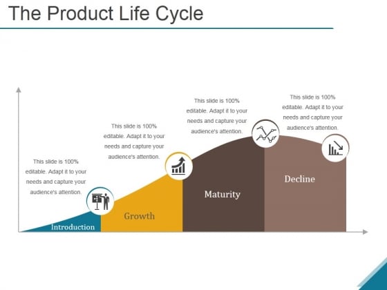 The Product Life Cycle Ppt PowerPoint Presentation Slides The Product Life Cycle Ppt PowerPoint Presentation Slides