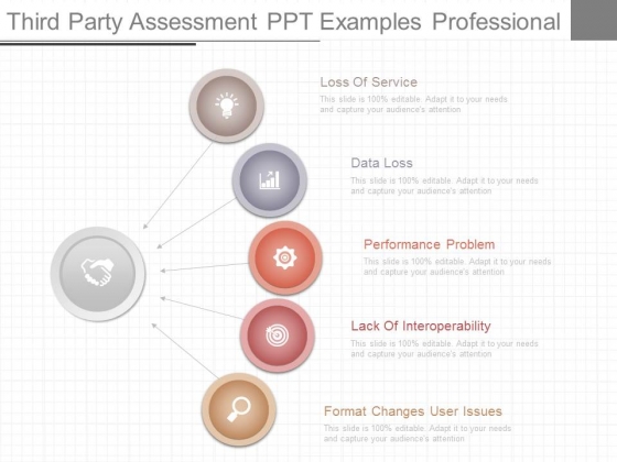 Third Party Assessment Ppt Examples Professional Third Party Assessment Ppt Examples Professional