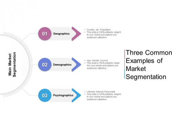 Three Common Examples Of Market Segmentation Ppt PowerPoint Presentation Inspiration Slideshow PDF Three Common Examples Of Market Segmentation Ppt PowerPoint Presentation Inspiration Slideshow PDF