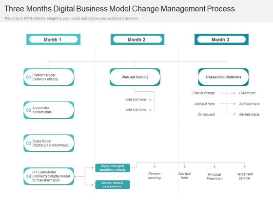 Three Months Digital Business Model Change Management Process Guidelines