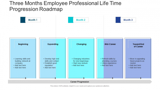 Three Months Employee Professional Life Time Progression Roadmap Pictures