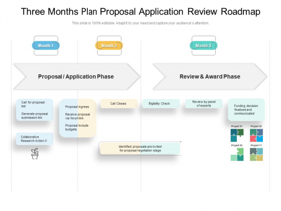 Three Months Plan Proposal Application Review Roadmap Demonstration
