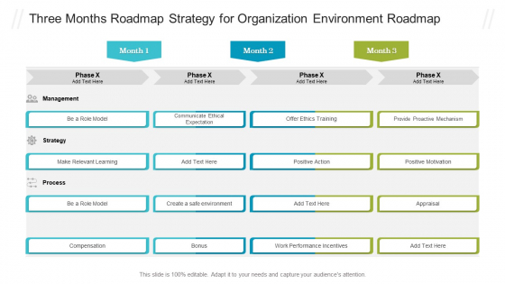 Three Months Roadmap Strategy For Organization Environment Roadmap Graphics PDF Three Months Roadmap Strategy For Organization Environment Roadmap Graphics PDF
